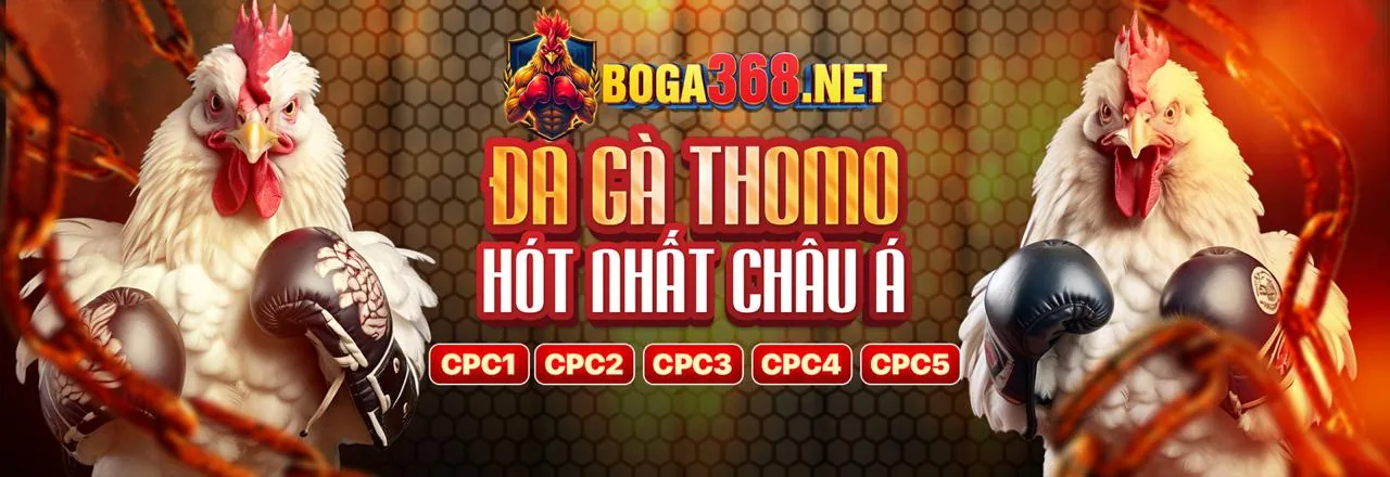 Trải nghiệm thanh toán và khuyến mãi tại V8BET